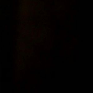 Meet your Posher, Bruno